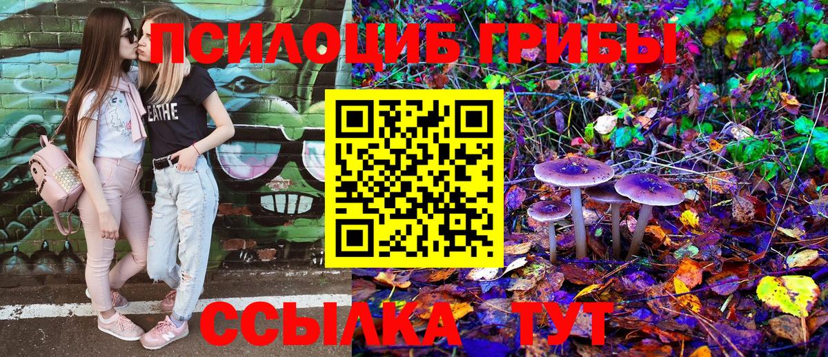 Псилоцибиновые грибы Psilocybe  Вход с VPN  Канаш 